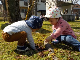 ちゅうりっぷ(0歳児)