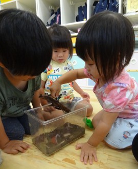 いろんな虫に興味津々!!(2歳児)