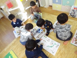 図鑑に夢中(2歳児)