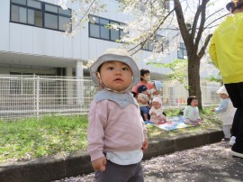 新年度がはじまったよ(ちゅうりっぷ組)