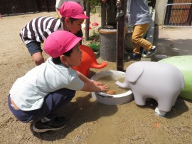 保育園にぞうさんがやってきたよ🐘